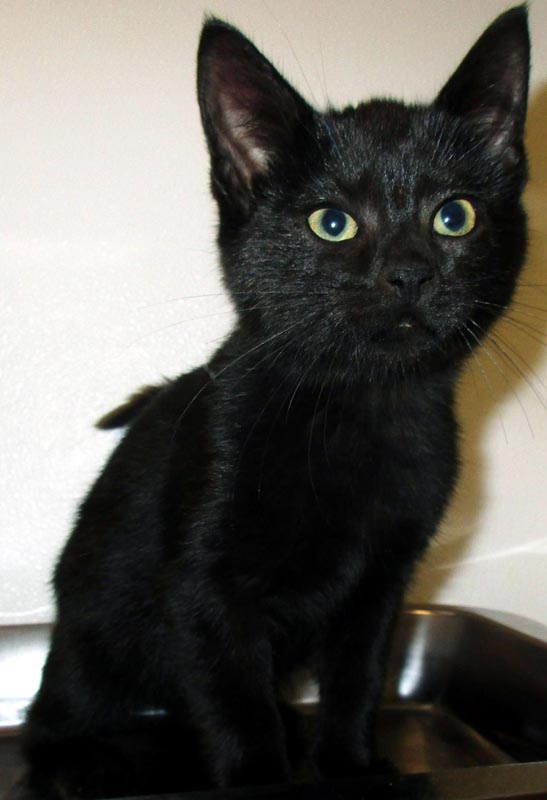 Salem